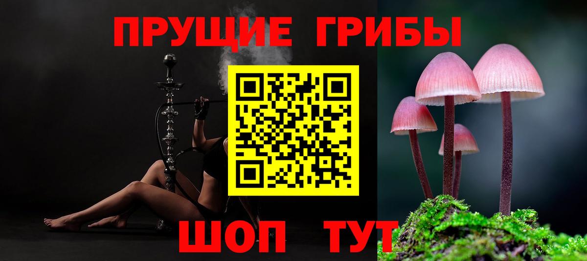 Галлюциногенные грибы MAGIC MUSHROOMS Пушкино